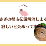 【うさぎ雑学】寂しいと死ぬはウソ！都市伝説が広まった元ネタはとあるドラマだった？