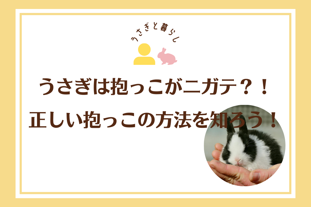 うさぎは抱っこがニガテ？！正しい抱っこの方法を知ろう！