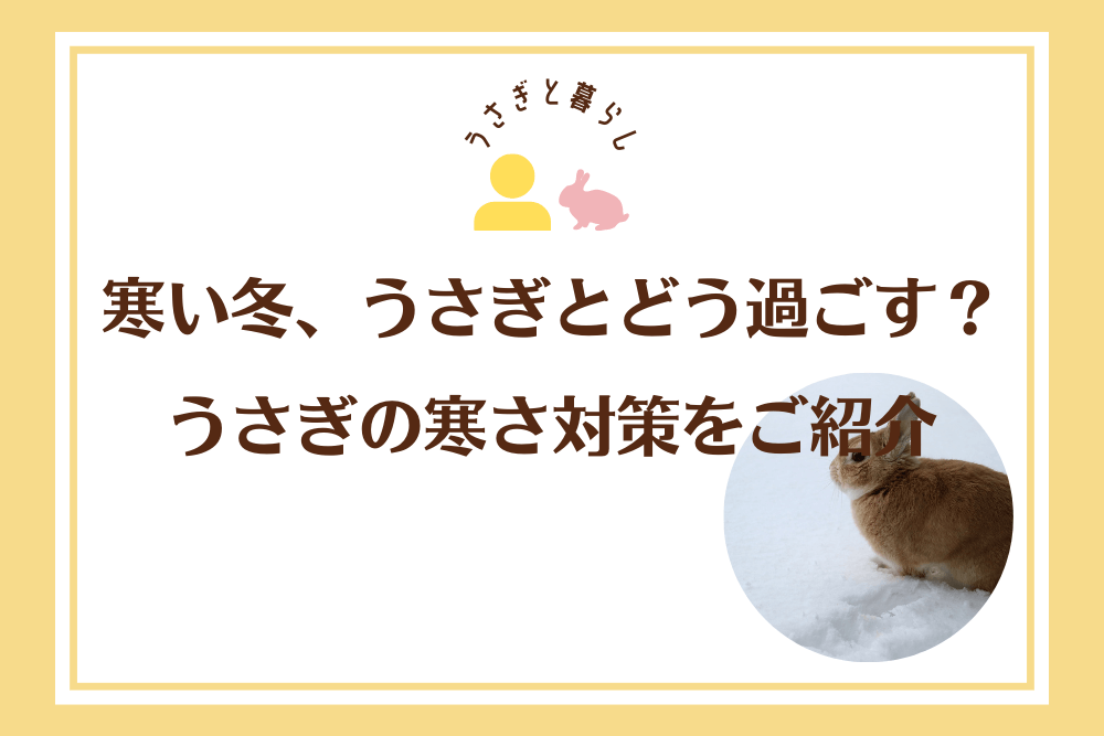 寒い冬、うさぎとどう過ごす？うさぎの寒さ対策をご紹介