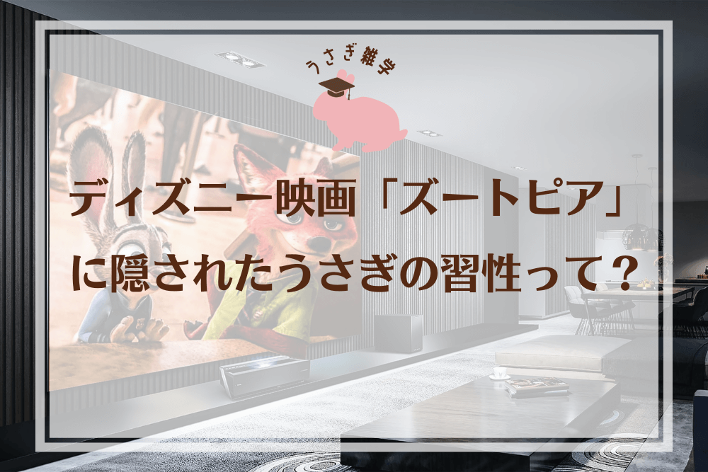 【うさぎ雑学】ディズニー映画「ズートピア」に隠されたうさぎの習性って？