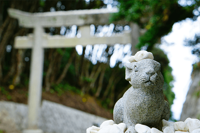 うさぎを神様にしている神社は意外と多い！