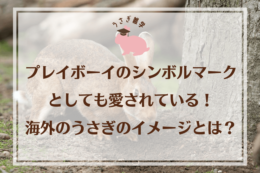 プレイボーイのシンボルマークとしても愛されている！海外のうさぎのイメージとは？