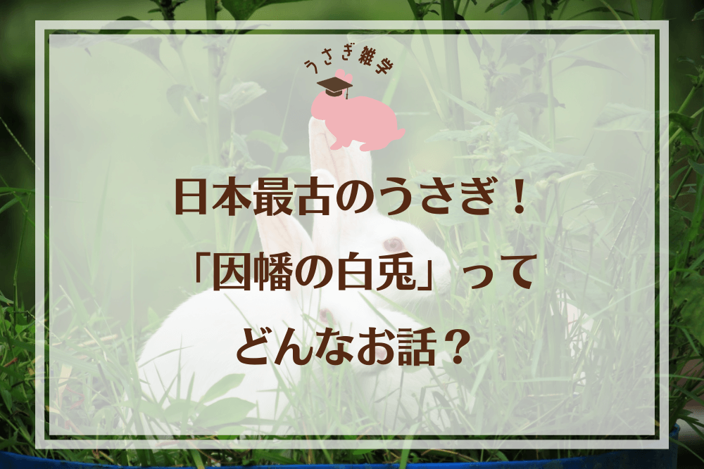 日本最古のうさぎ！「因幡の白兎」ってどんなお話？